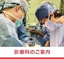 診療科のご案内